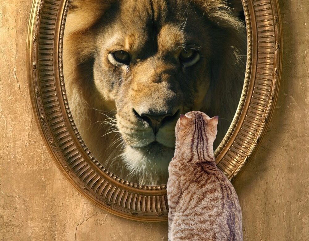 Culture Counts. Marketers are like cats, they can innately sense the alignment or misalignment of market-facing brands and internal operations.