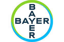 bayer